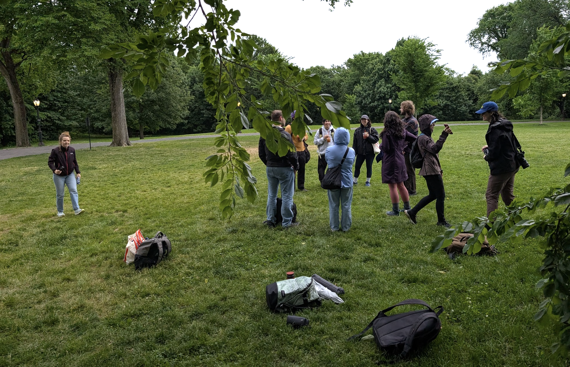 Central Park